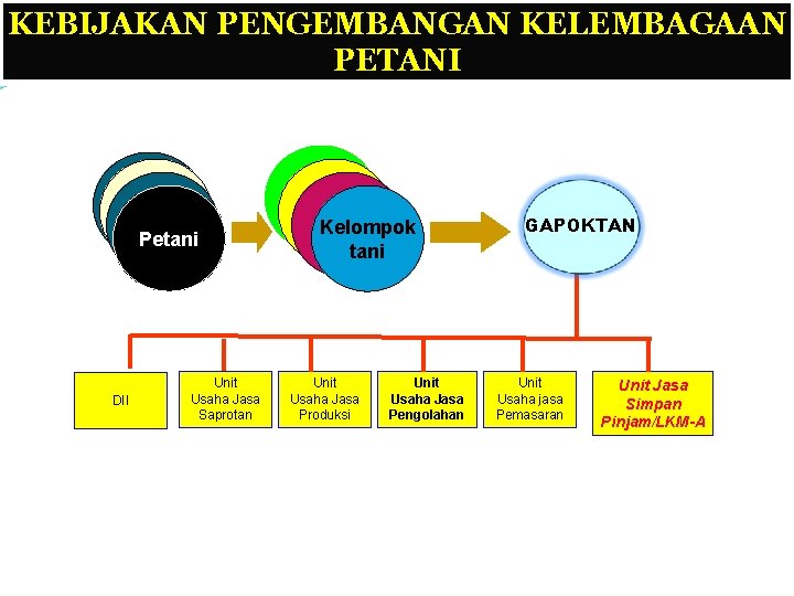 KEBIJAKAN PENGEMBANGAN KELEMBAGAAN PETANI Petani DII Unit Usaha Jasa Saprotan 1 Kelompok tani Unit