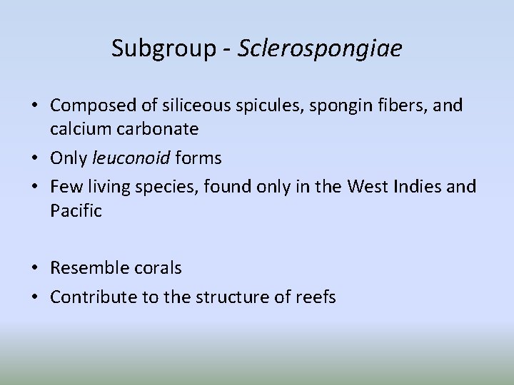 Subgroup - Sclerospongiae • Composed of siliceous spicules, spongin fibers, and calcium carbonate •