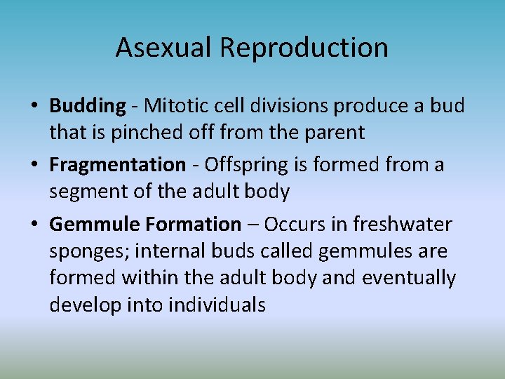 Asexual Reproduction • Budding - Mitotic cell divisions produce a bud that is pinched