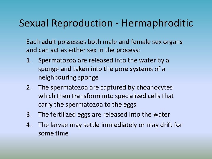 Sexual Reproduction - Hermaphroditic Each adult possesses both male and female sex organs and