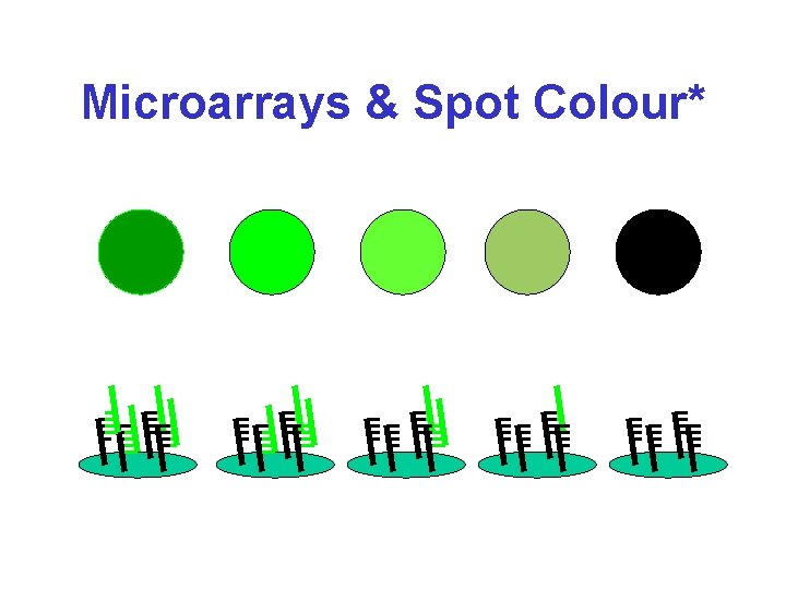 Microarrays & Spot Colour* 