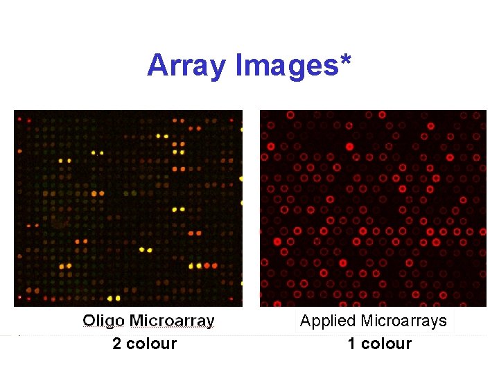 Array Images* 2 colour Applied Microarrays 1 colour 