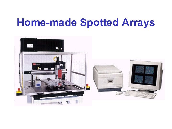 Home-made Spotted Arrays 