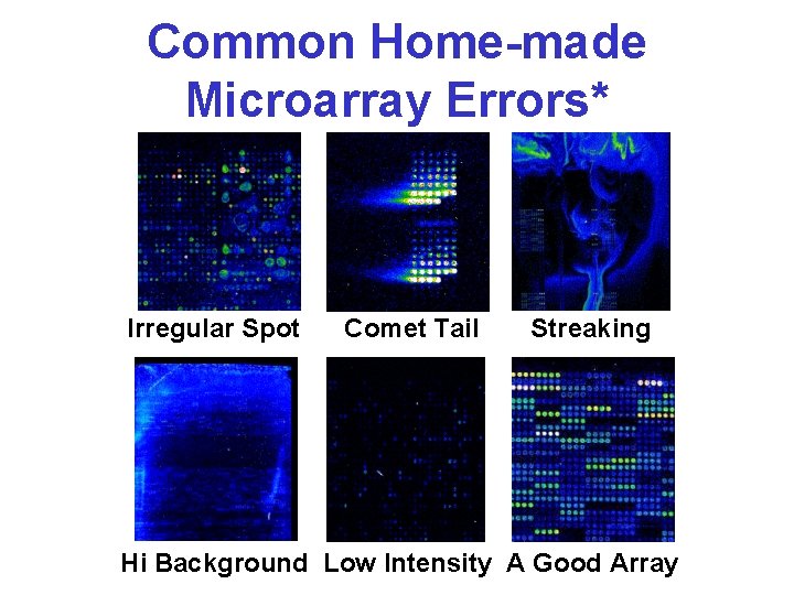 Common Home-made Microarray Errors* Irregular Spot Comet Tail Streaking Hi Background Low Intensity A