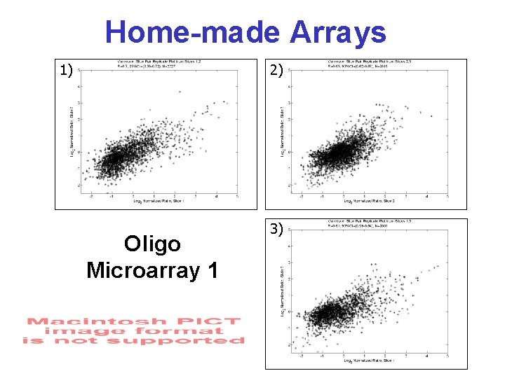 Home-made Arrays 1) 2) Oligo Microarray 1 3) 