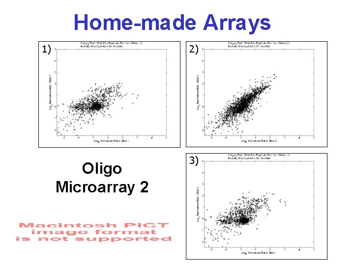 Home-made Arrays 1) 2) Oligo Microarray 2 3) 