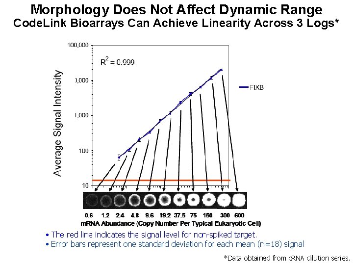 Morphology Does Not Affect Dynamic Range Code. Link Bioarrays Can Achieve Linearity Across 3