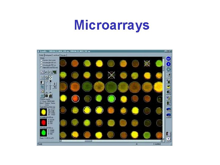 Microarrays 