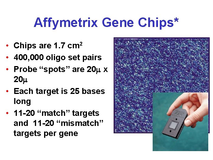 Affymetrix Gene Chips* • Chips are 1. 7 cm 2 • 400, 000 oligo