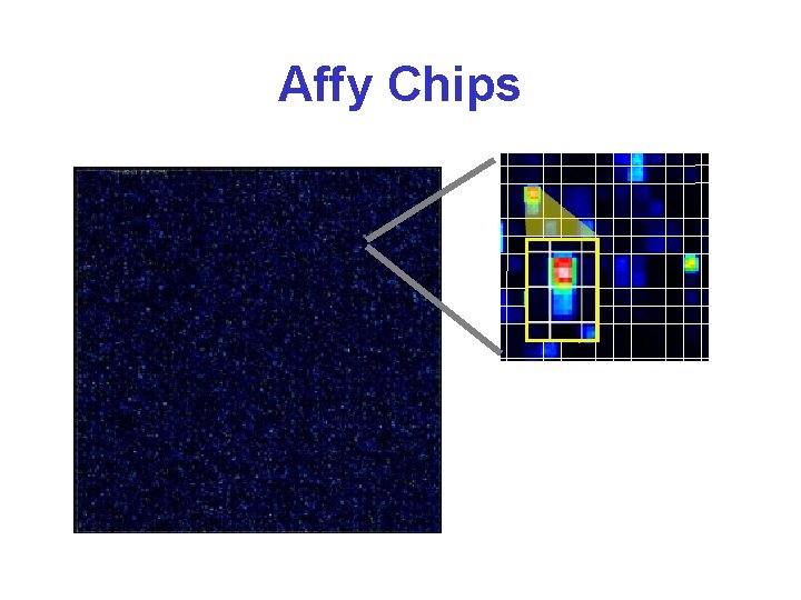 Affy Chips 