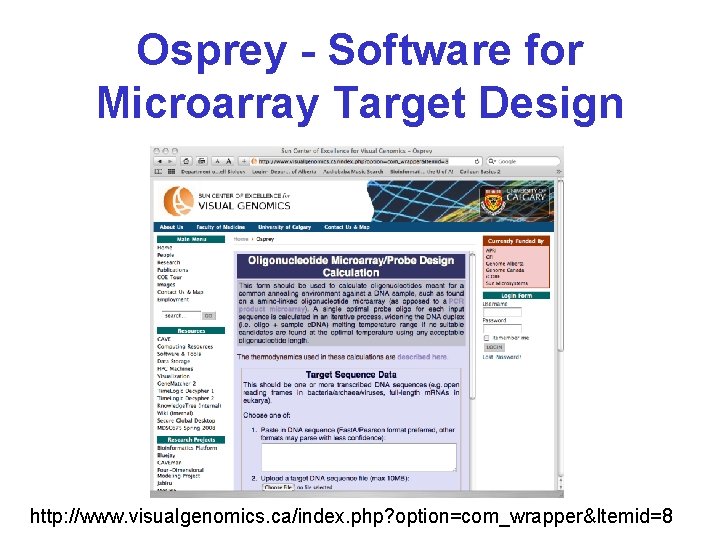 Osprey - Software for Microarray Target Design http: //www. visualgenomics. ca/index. php? option=com_wrapper&Itemid=8 