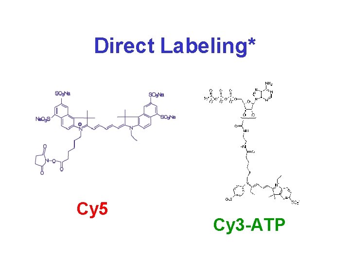 Direct Labeling* Cy 5 Cy 3 -ATP 