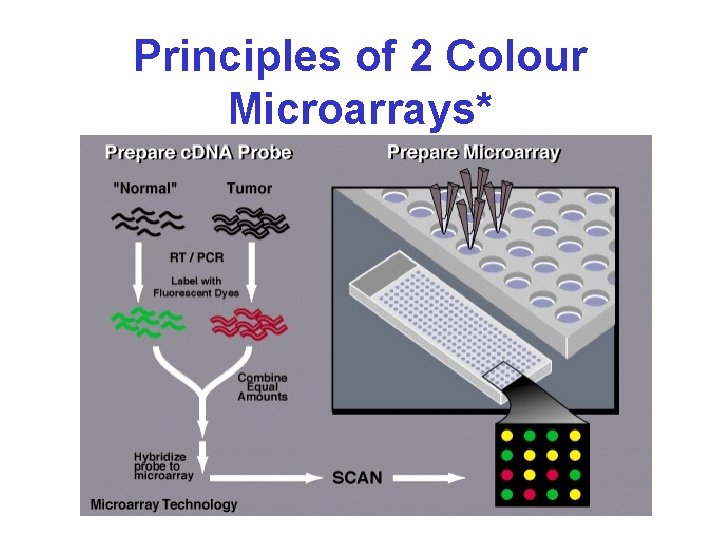 Principles of 2 Colour Microarrays* 