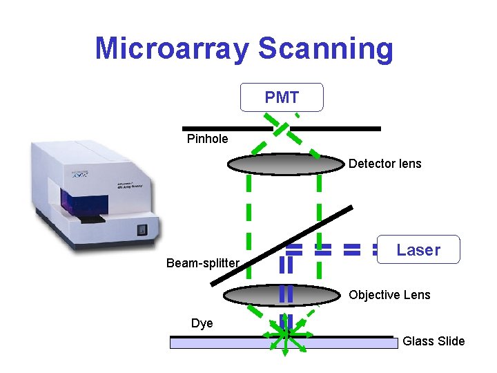 Microarray Scanning PMT Pinhole Detector lens Beam-splitter Laser Objective Lens Dye Glass Slide 