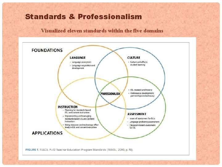 Standards & Professionalism Visualized eleven standards within the five domains 