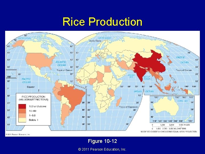 Rice Production Figure 10 -12 © 2011 Pearson Education, Inc. 