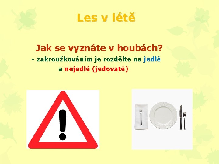 Les v létě Jak se vyznáte v houbách? - zakroužkováním je rozdělte na jedlé