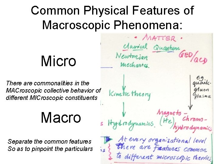 Common Physical Features of Macroscopic Phenomena: Micro There are commonalities in the MACroscopic collective