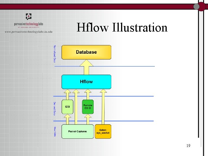 Hflow Illustration 19 