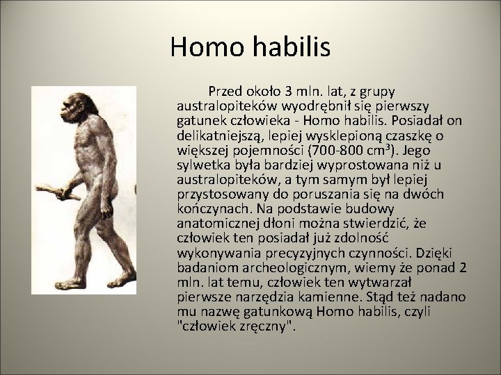 Homo habilis Przed około 3 mln. lat, z grupy australopiteków wyodrębnił się pierwszy gatunek
