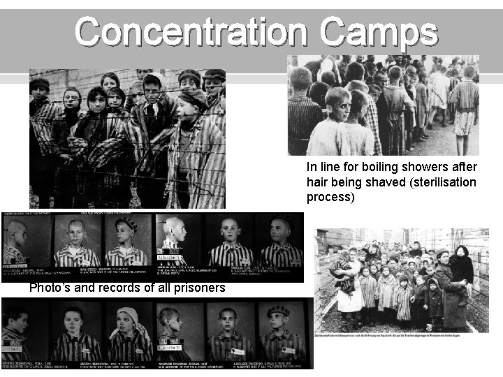 Concentration Camps In line for boiling showers after hair being shaved (sterilisation process) Photo’s