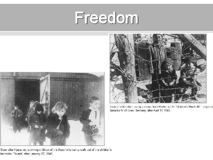 Freedom 