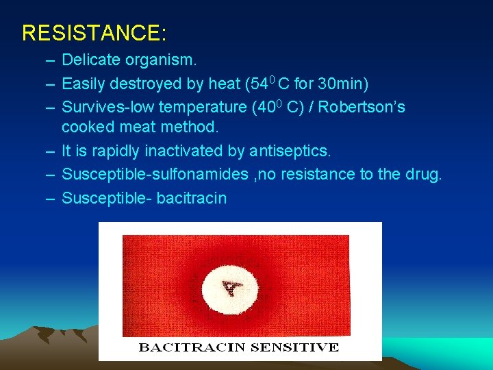 RESISTANCE: – Delicate organism. – Easily destroyed by heat (540 C for 30 min)