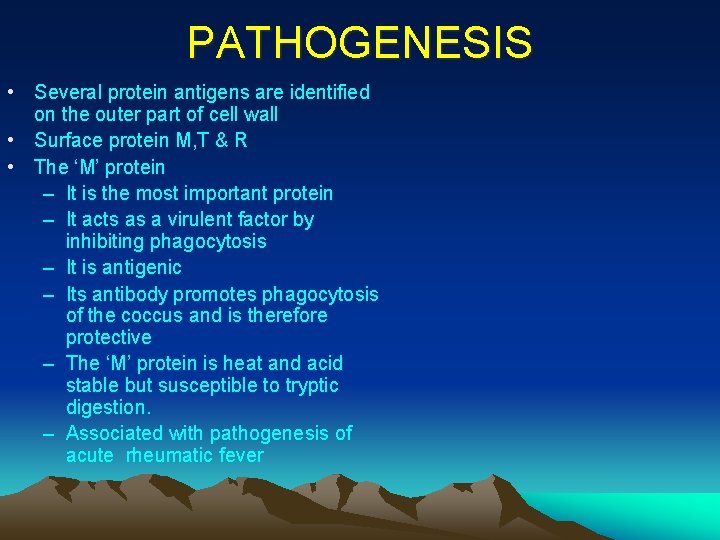 PATHOGENESIS • Several protein antigens are identified on the outer part of cell wall