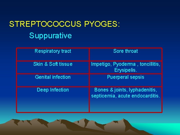 STREPTOCOCCUS PYOGES: Suppurative Respiratory tract Sore throat Skin & Soft tissue Impetigo, Pyoderma ,