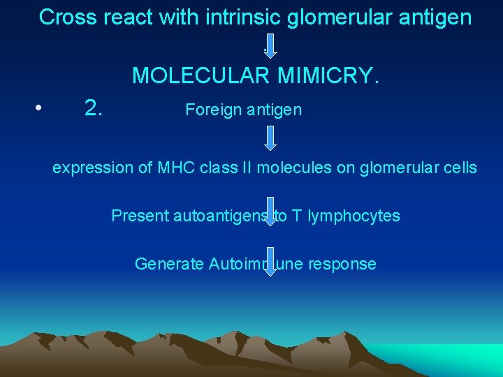 Cross react with intrinsic glomerular antigen . MOLECULAR MIMICRY. • 2. Foreign antigen expression