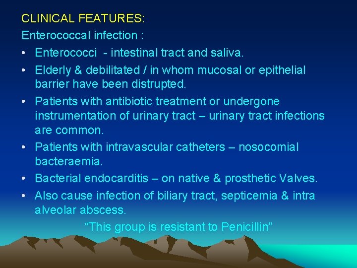 CLINICAL FEATURES: Enterococcal infection : • Enterococci - intestinal tract and saliva. • Elderly