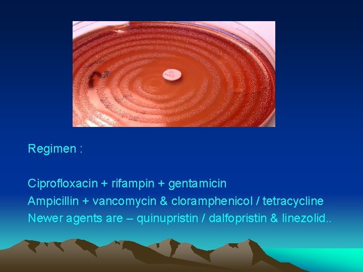 Regimen : Ciprofloxacin + rifampin + gentamicin Ampicillin + vancomycin & cloramphenicol / tetracycline