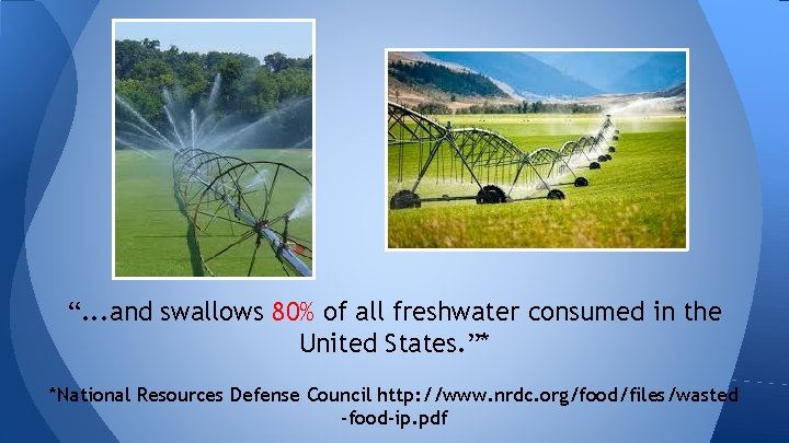 “. . . and swallows 80% of all freshwater consumed in the United States.