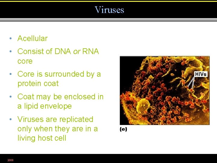 Viruses • Acellular • Consist of DNA or RNA core • Core is surrounded