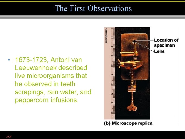 The First Observations • 1673 -1723, Antoni van Leeuwenhoek described live microorganisms that he