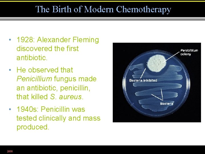 The Birth of Modern Chemotherapy • 1928: Alexander Fleming discovered the first antibiotic. •