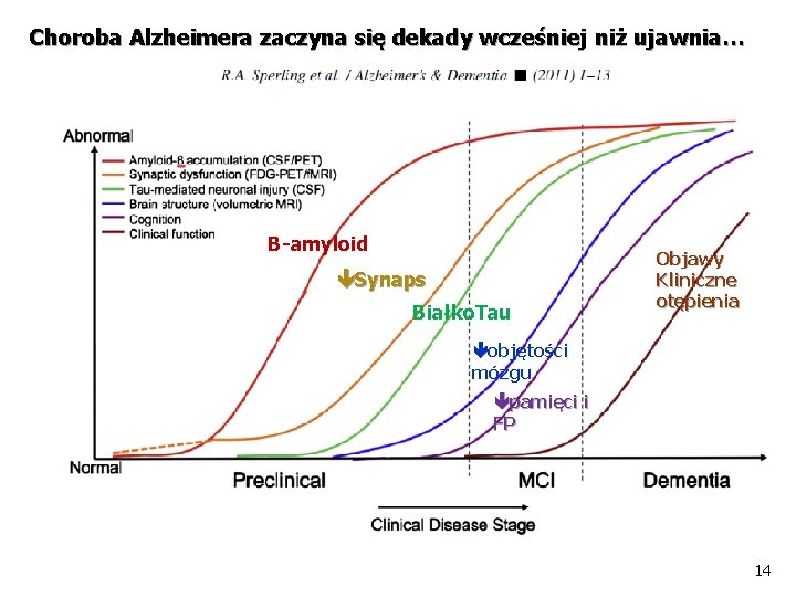 Choroba Alzheimera zaczyna się dekady wcześniej niż ujawnia… Β-amyloid Synaps Białko. Tau Objawy Kliniczne