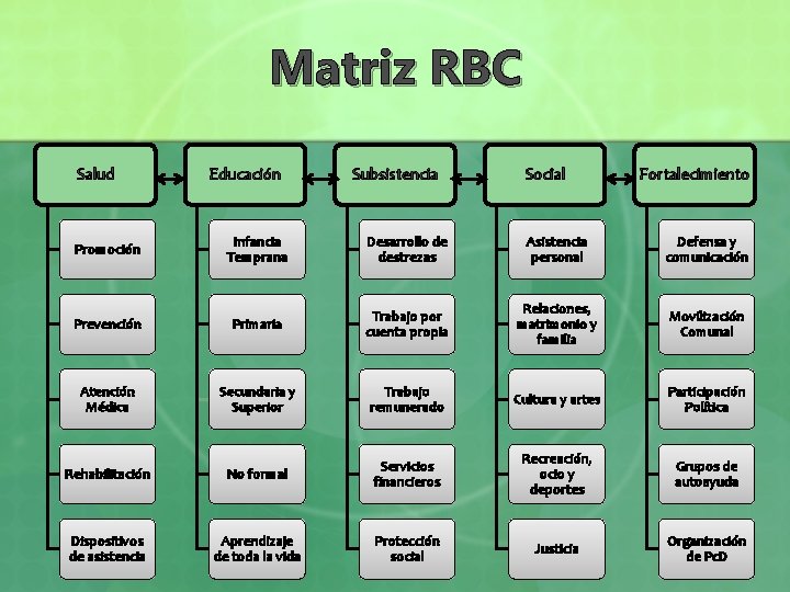 Matriz RBC Salud Educación Subsistencia Social Fortalecimiento Promoción Infancia Temprana Desarrollo de destrezas Asistencia
