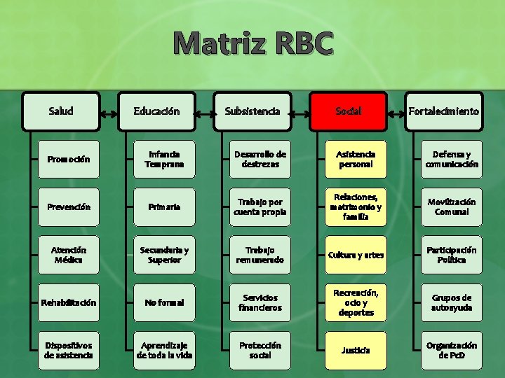 Matriz RBC Salud Educación Subsistencia Social Fortalecimiento Promoción Infancia Temprana Desarrollo de destrezas Asistencia