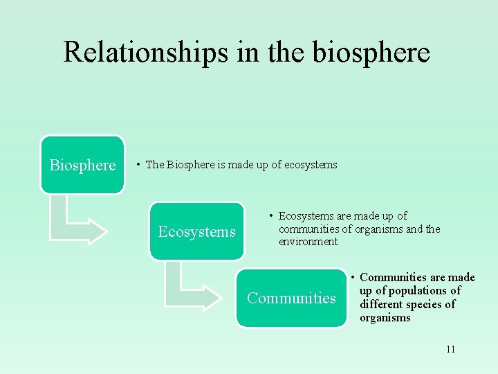 Relationships in the biosphere Biosphere • The Biosphere is made up of ecosystems Ecosystems