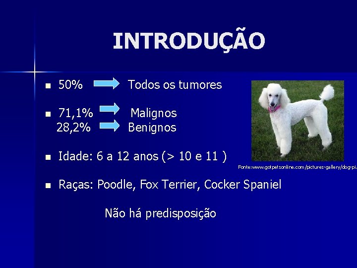 INTRODUÇÃO n 50% Todos os tumores n 71, 1% 28, 2% Malignos Benignos n