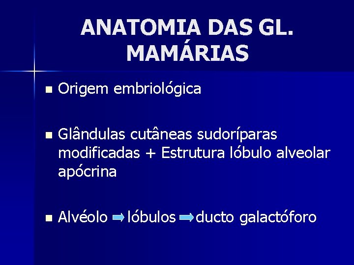 ANATOMIA DAS GL. MAMÁRIAS n Origem embriológica n Glândulas cutâneas sudoríparas modificadas + Estrutura