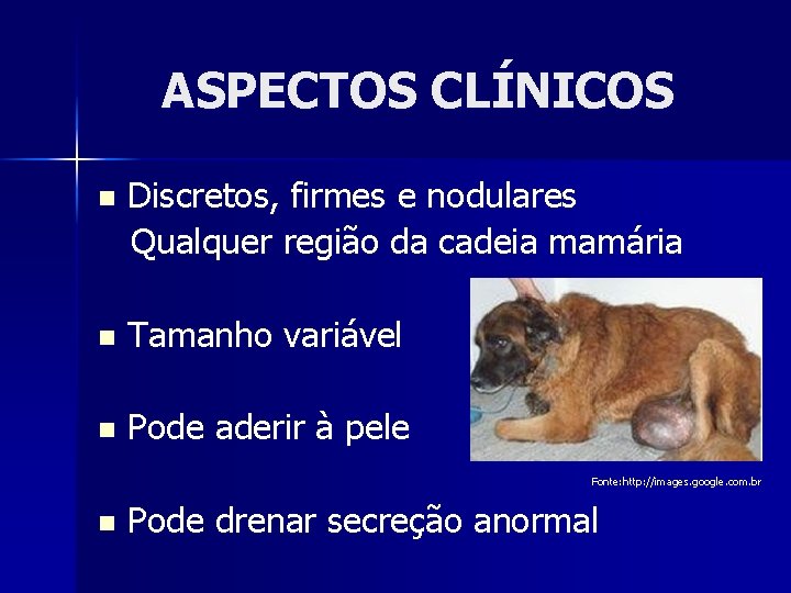 ASPECTOS CLÍNICOS n Discretos, firmes e nodulares Qualquer região da cadeia mamária n Tamanho