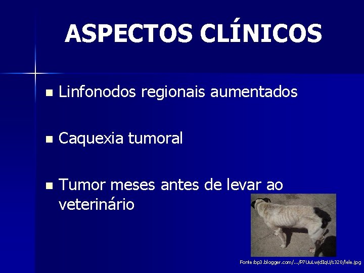 ASPECTOS CLÍNICOS n Linfonodos regionais aumentados n Caquexia tumoral n Tumor meses antes de