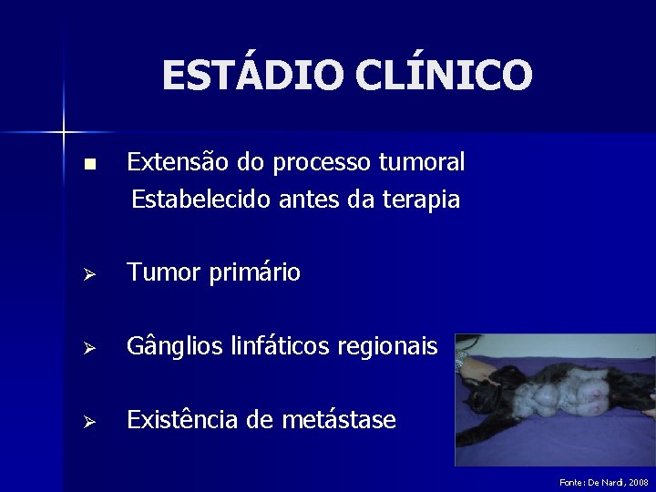 ESTÁDIO CLÍNICO n Extensão do processo tumoral Estabelecido antes da terapia Ø Tumor primário