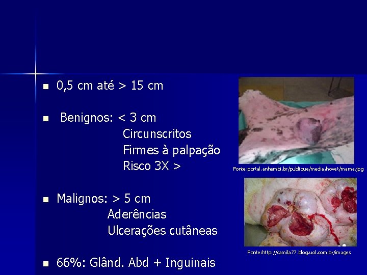 n n 0, 5 cm até > 15 cm Benignos: < 3 cm Circunscritos