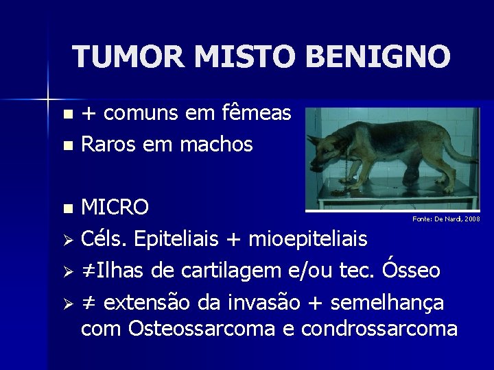 TUMOR MISTO BENIGNO + comuns em fêmeas n Raros em machos n MICRO Ø