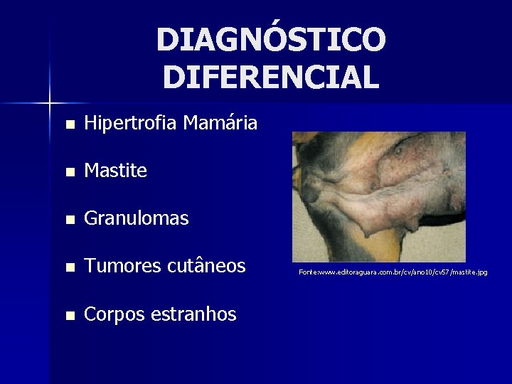 DIAGNÓSTICO DIFERENCIAL n Hipertrofia Mamária n Mastite n Granulomas n Tumores cutâneos n Corpos