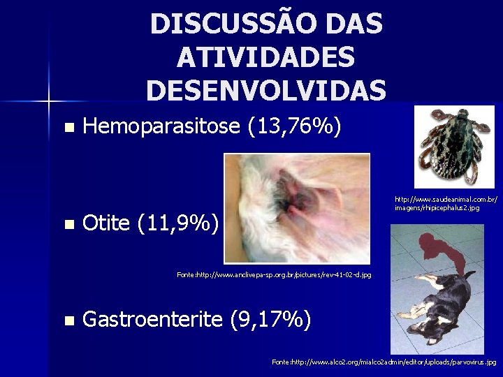 DISCUSSÃO DAS ATIVIDADES DESENVOLVIDAS n n Hemoparasitose (13, 76%) http: //www. saudeanimal. com. br/
