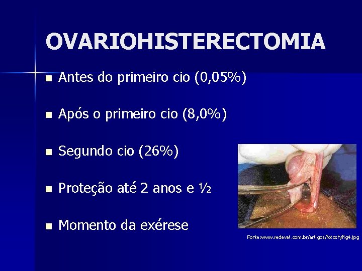 OVARIOHISTERECTOMIA n Antes do primeiro cio (0, 05%) n Após o primeiro cio (8,